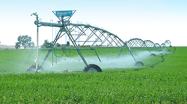 Irrigation system spraying green field.